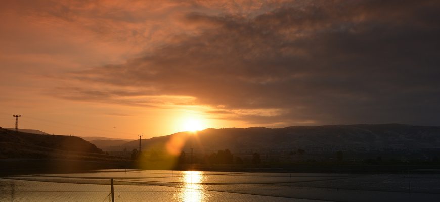 שְׁנֵי זְרָעִים