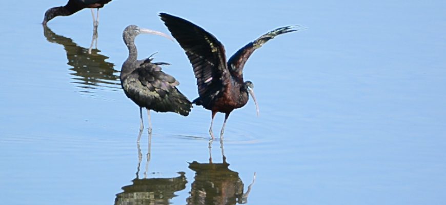 מִמַּבָּט רִאשׁוֹן הַשֵּׁנִי