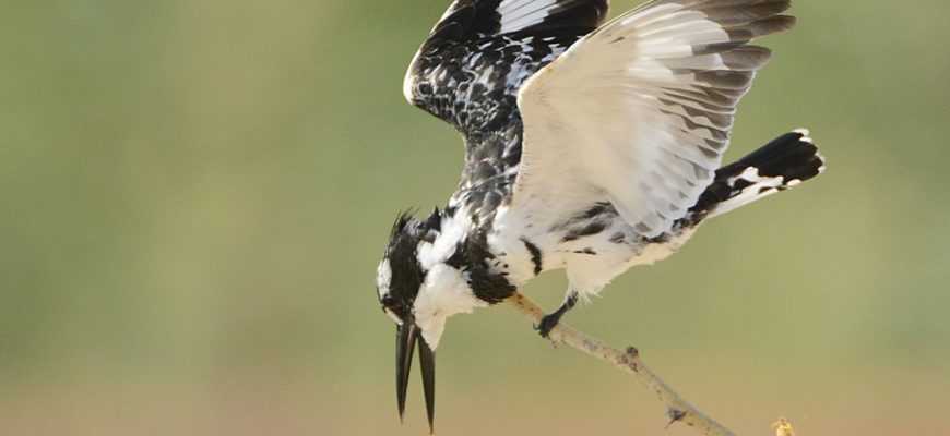 בְּבֵית הַקְּבָרוֹת בְּוַרְשָׁה