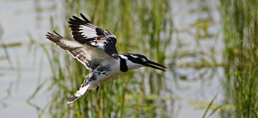 זֶה לֹא הַזְּמַן, זוֹ הַדֶּרֶךְ