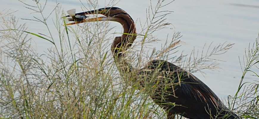 לָךְ אוֹתָנוּ