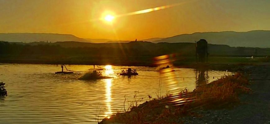 הַכַּדּוּר וְהַגֻמָּה ( סיפור מרובע)