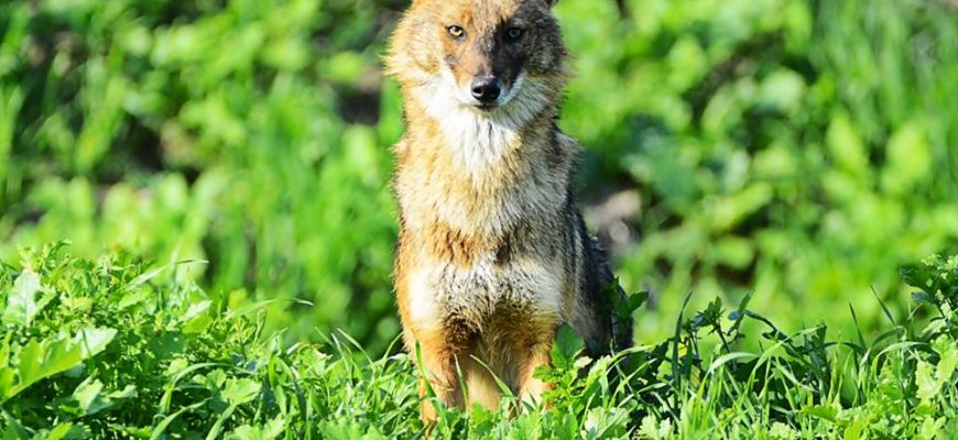 זוֹרְמִים יַחְדָּו