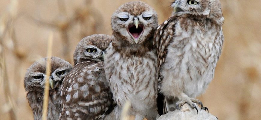 דֶּרֶךְ שֶׁעָבַרְתָּ, מַעֲגָל שֶׁסָּגַרְתָּ