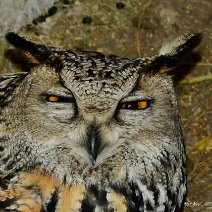 שָׁבַרְתָ שִׁלַּמְתָּ!