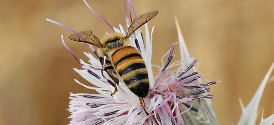 מְאֻחָר, לֹא מִדַּי