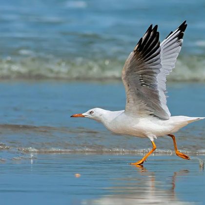 אוֹתוֹ סִפּוּר